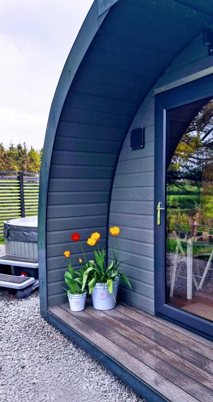 威尔斯浦Odli Glamping - Deri公寓 外观 照片